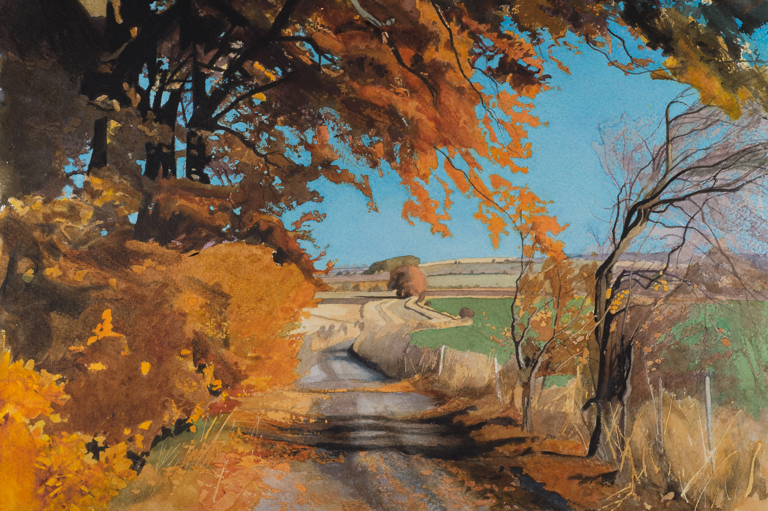 Beech Trees towards Windmill Hill
