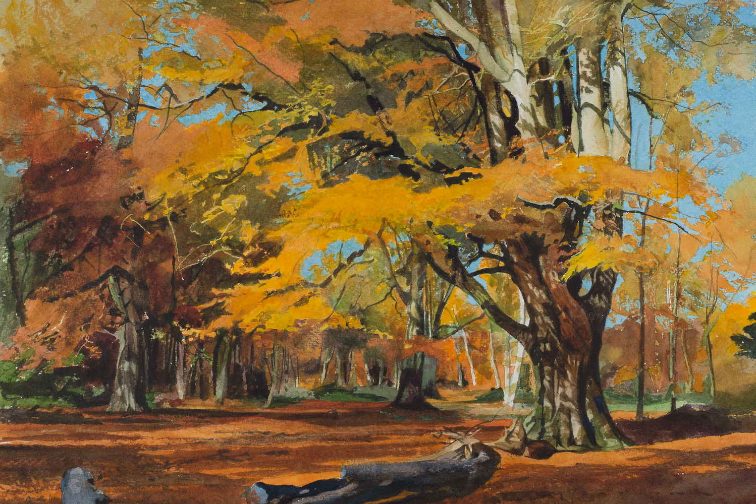 Autumn Beech, Savernacke