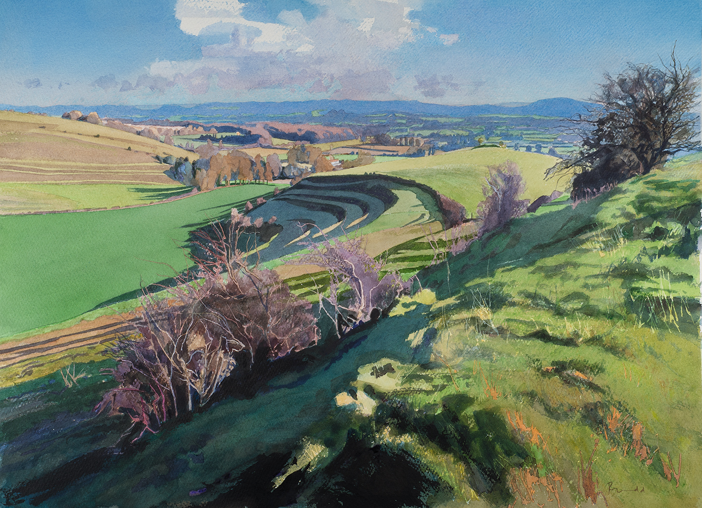 Mere Downs Winter