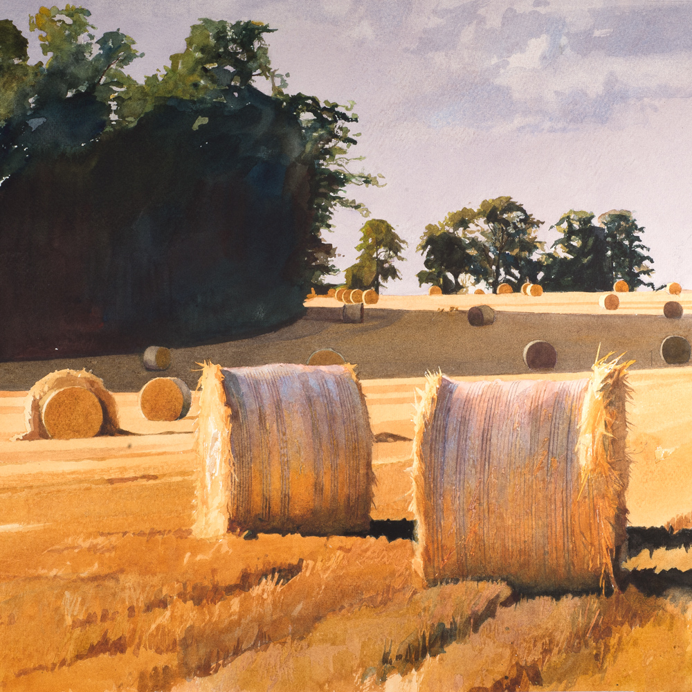 Norfolk Harvest near Bircham