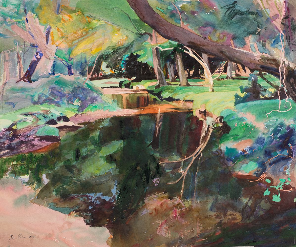New Forest Stream
