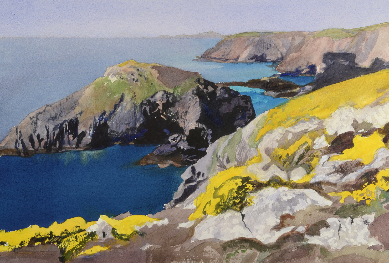 Gorse Near Solva