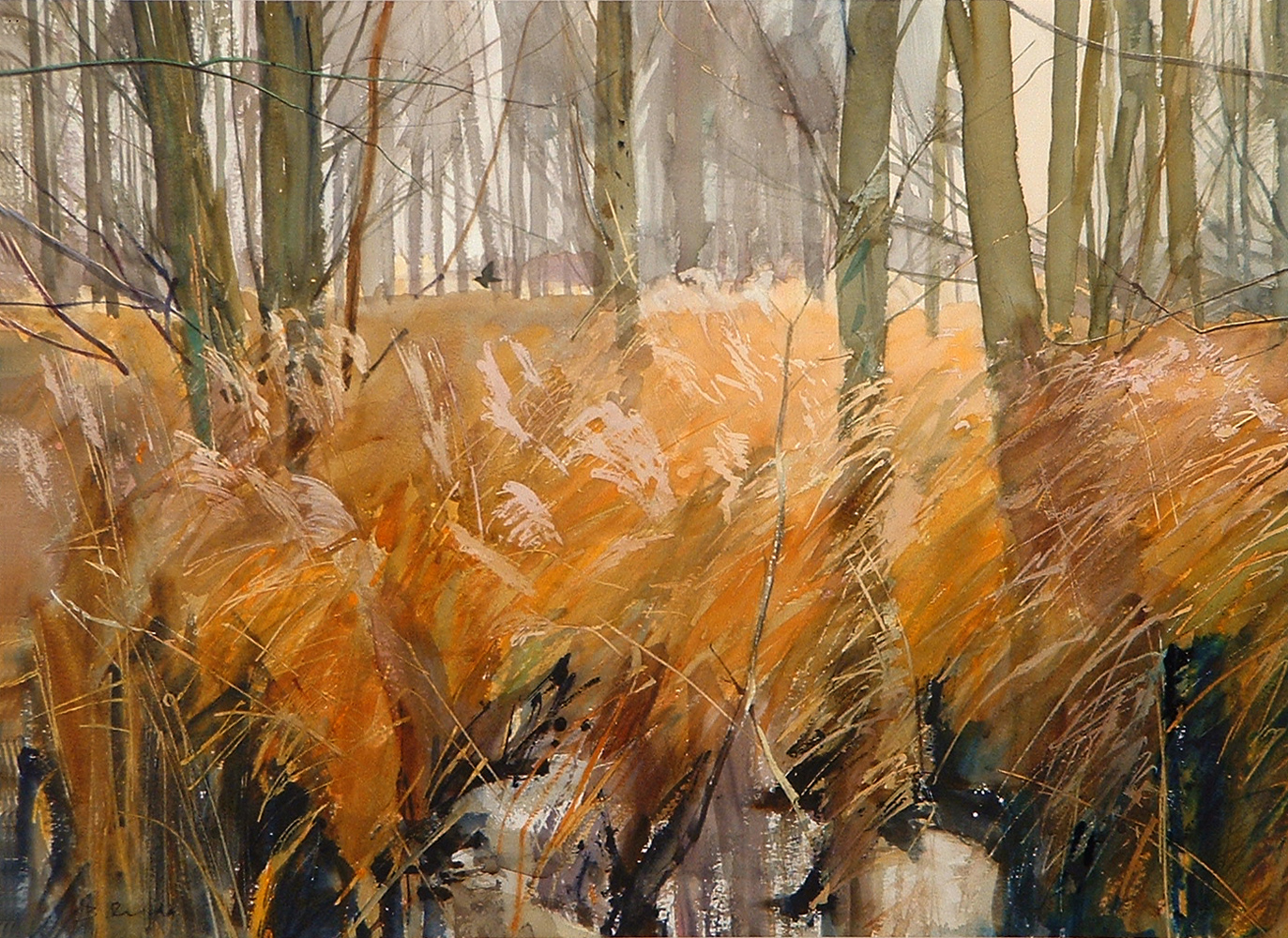 Lakenheath Fen -Suffolk