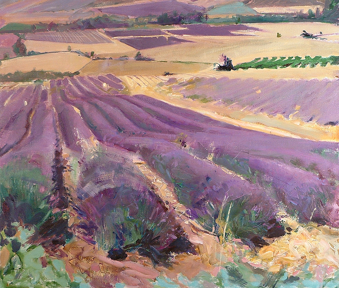 Lavender Provence