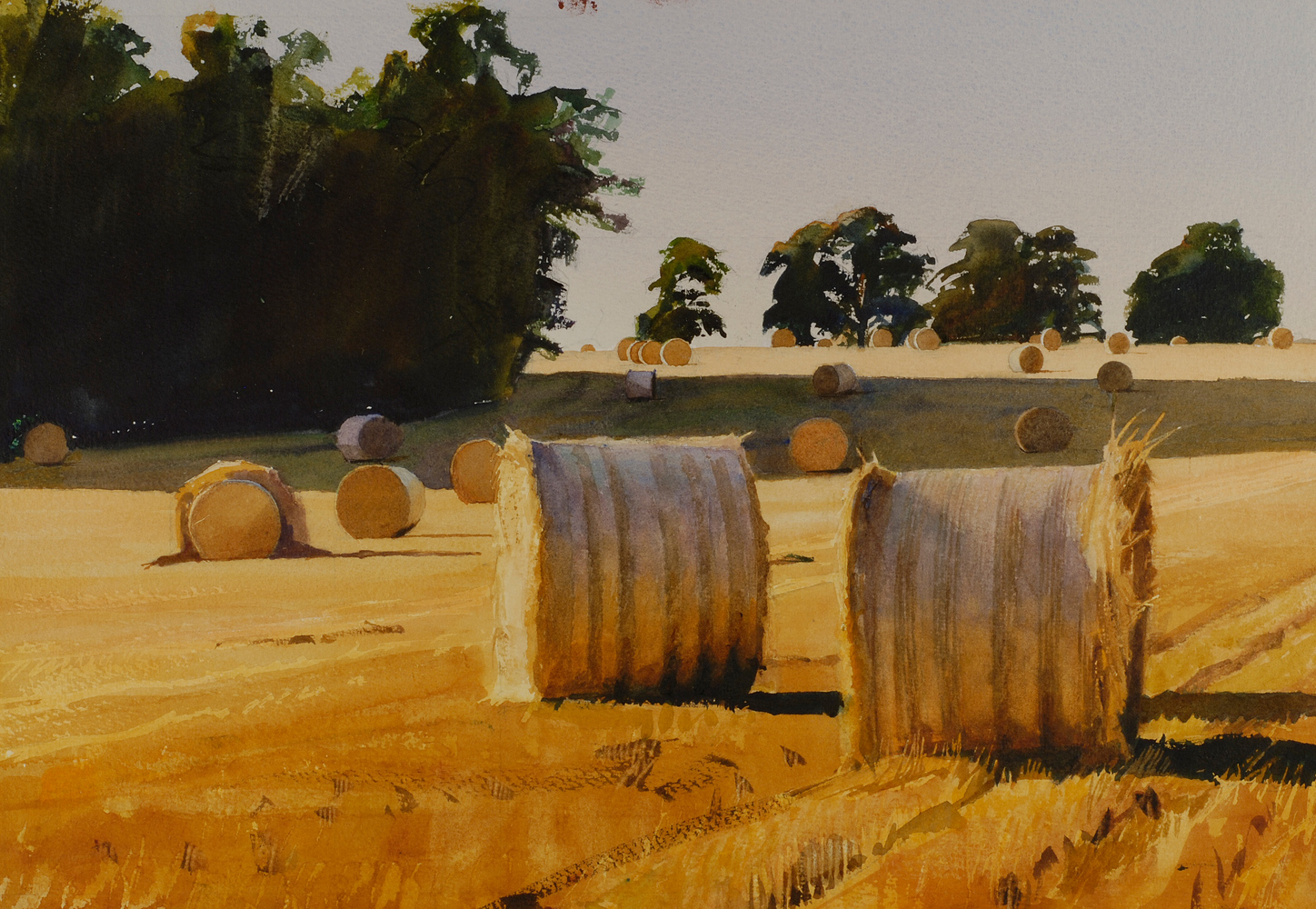 Norfolk Harvest