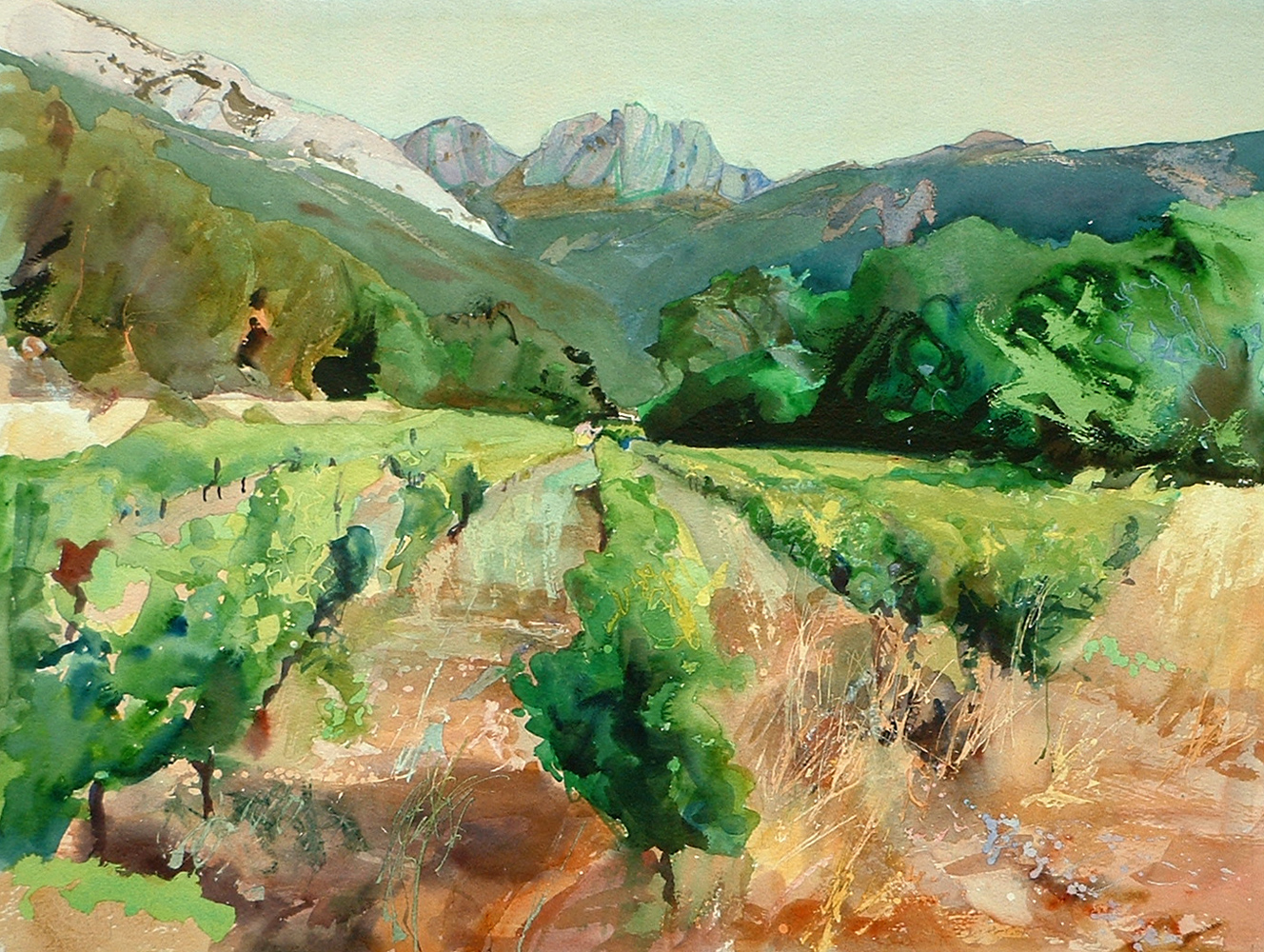 Vines, Gigondas