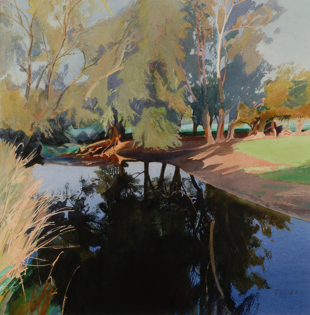 Willows, River Avon