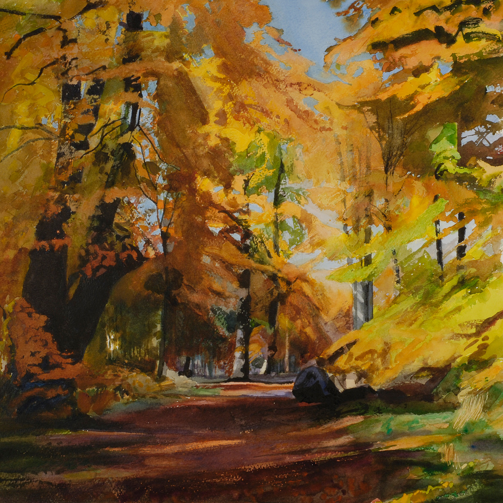 Woodland Path, Savernake